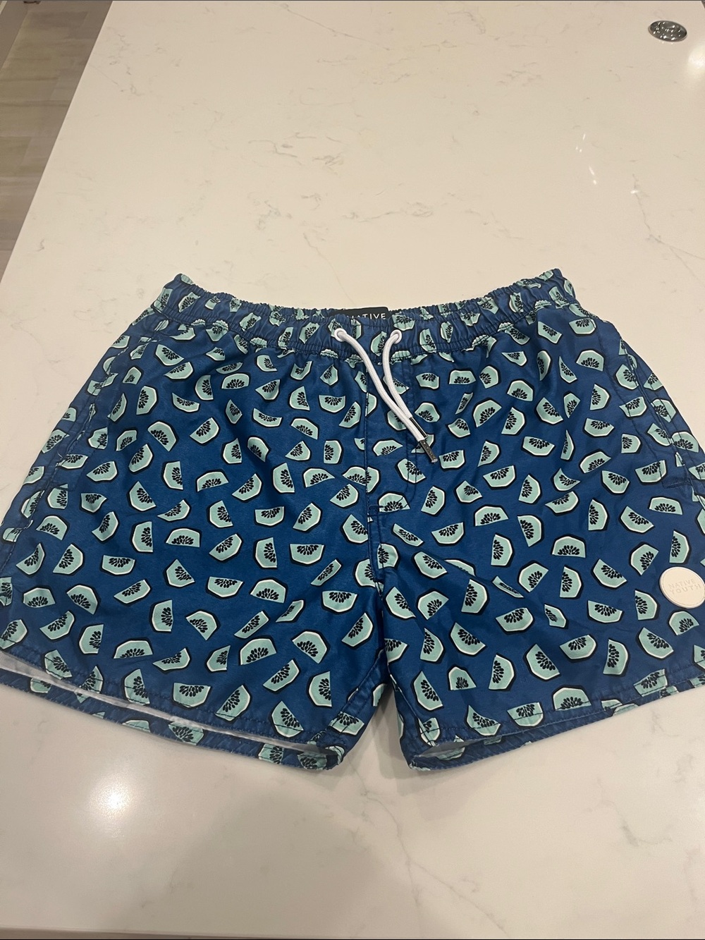NATIVE YOUTH Blue Swim Trunks with Kiwi Print